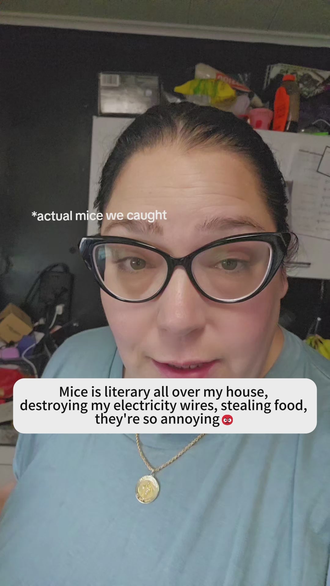 Skidex™ Mouse Repellent Pouches video